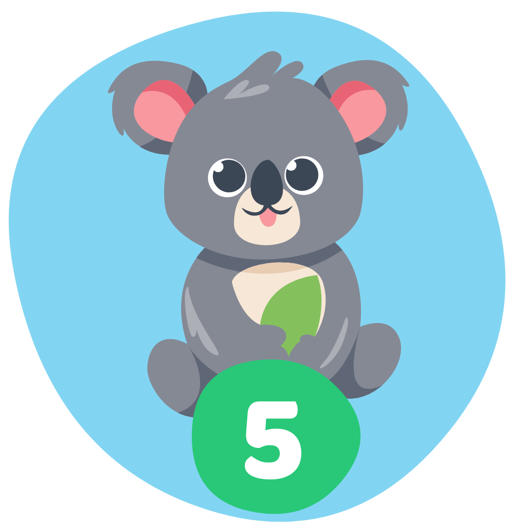 ערכת התנסות - מידה 5